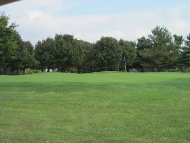 close up of green with blue golf flag